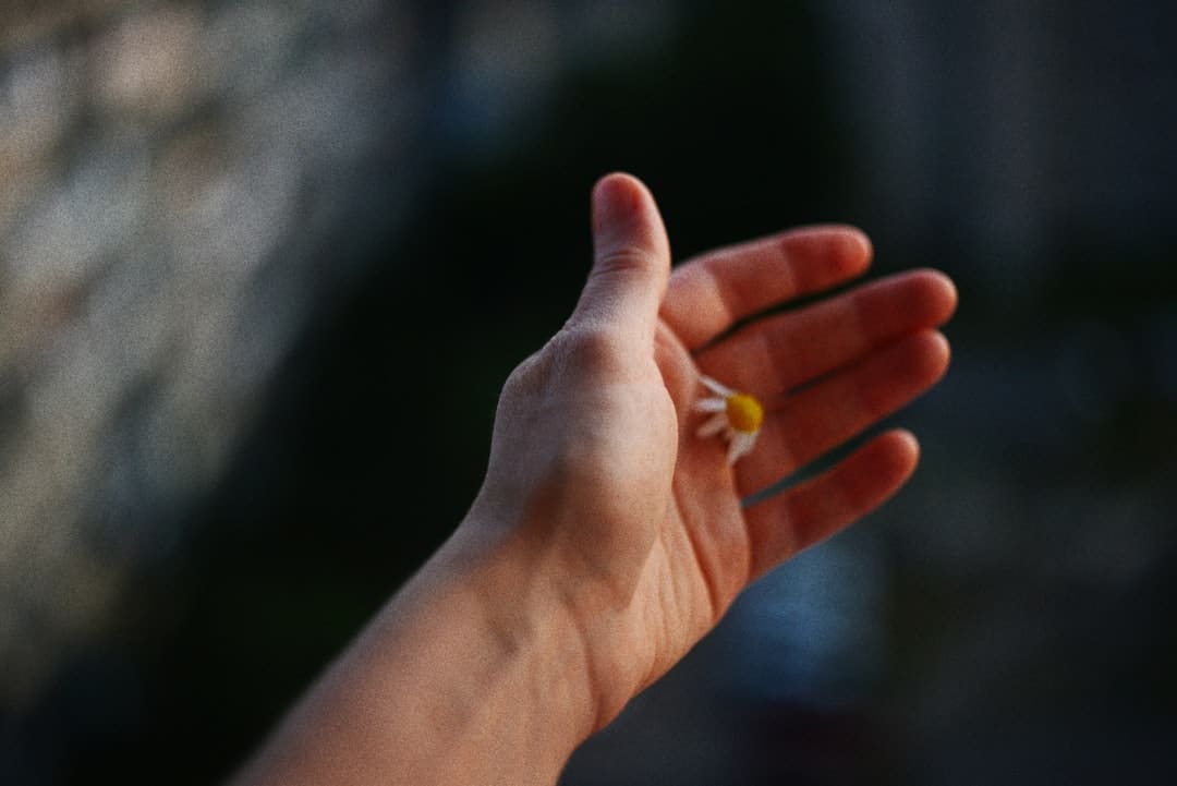 章子怡离婚后工作飙升？比照汪峰现状距离显着